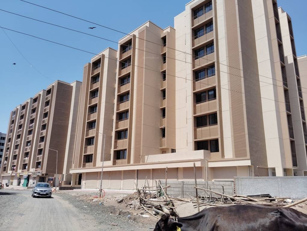  royal Construction Status May 24