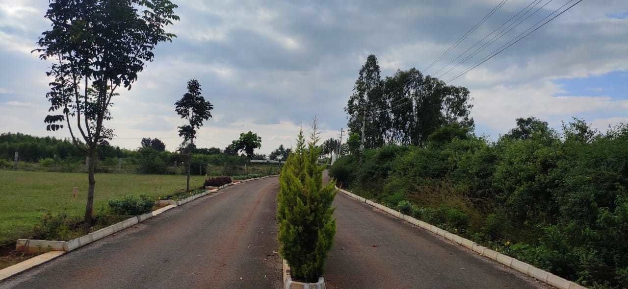  sylvia city Internal Roads & Footpaths