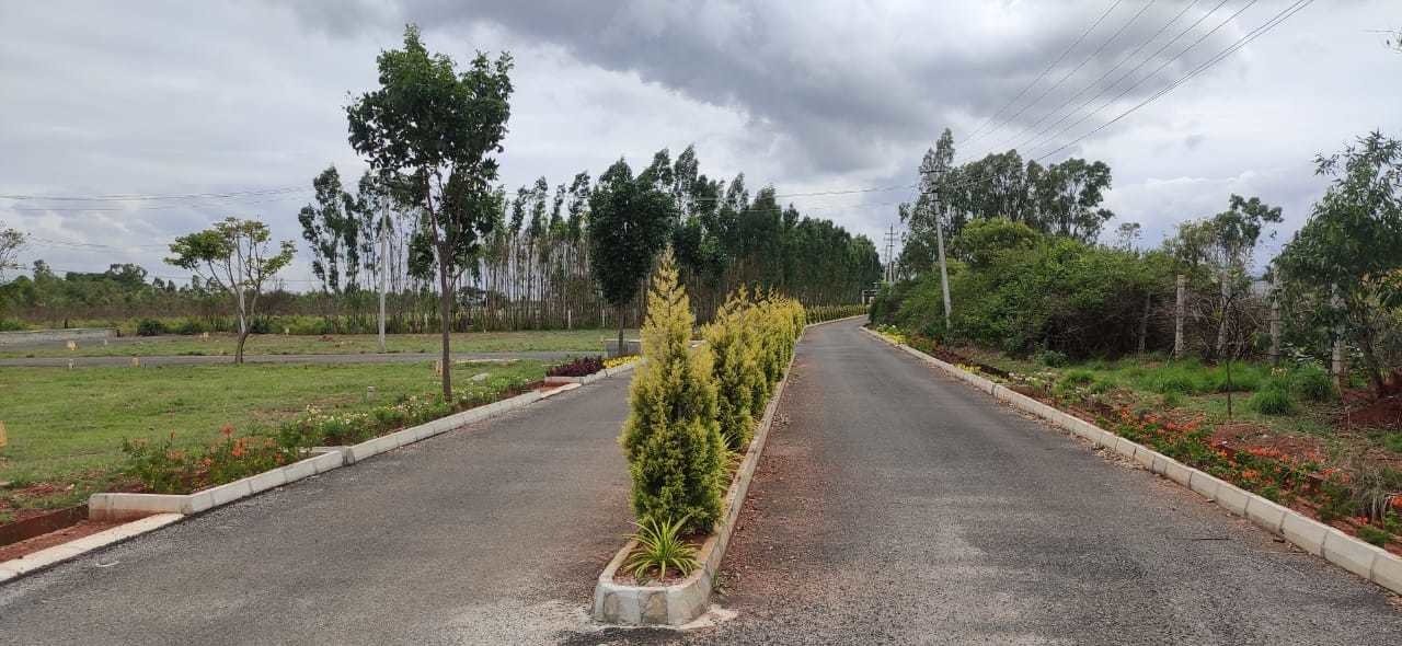  sylvia city Internal Roads & Footpaths