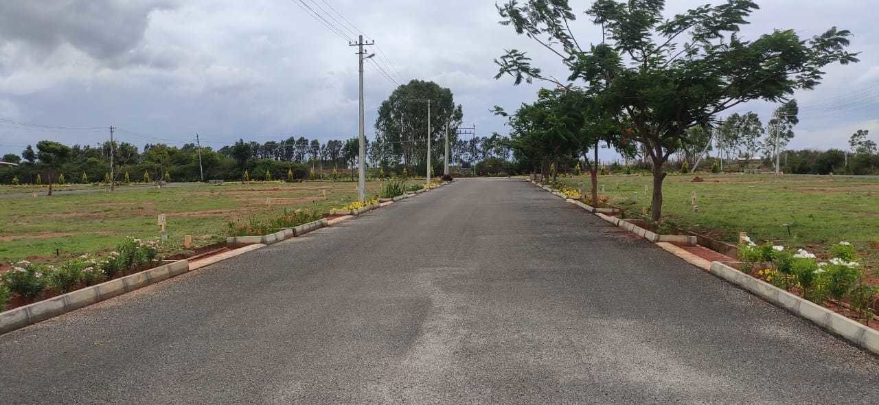  sylvia city Internal Roads & Footpaths