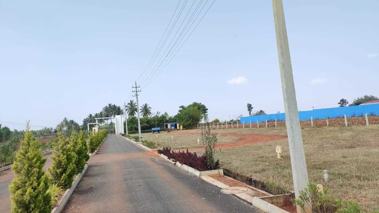  sylvia city Internal Roads & Footpaths
