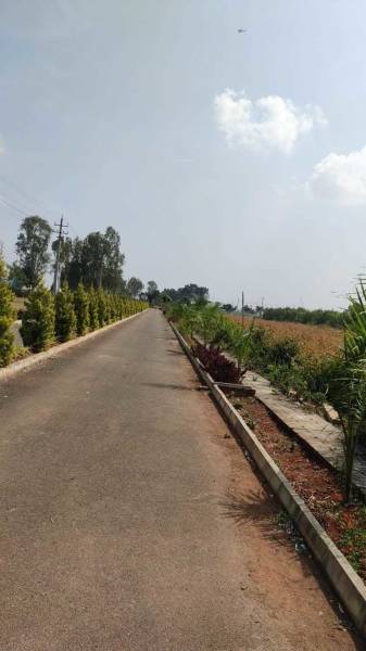  sylvia-city Internal Roads & Footpaths