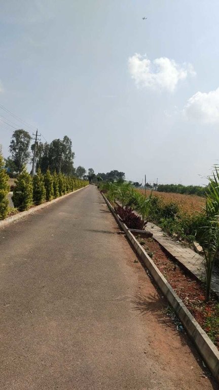  sylvia city Internal Roads & Footpaths