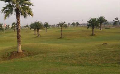 Elevation 199-plots Elevation