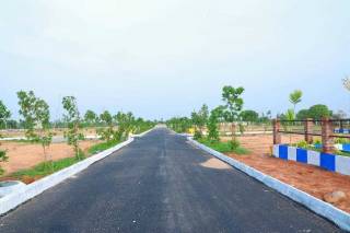 Project Image Project Image