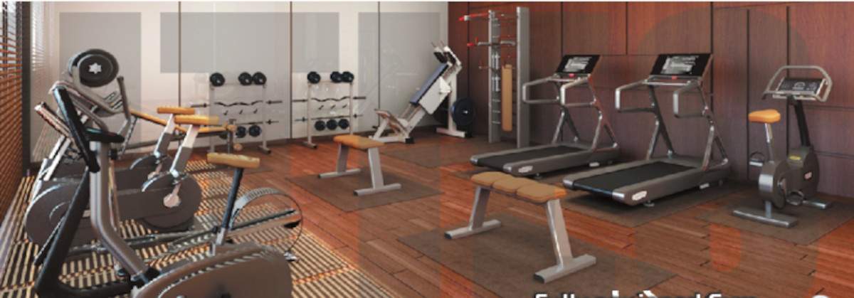  signature phase 1 Gymnasium