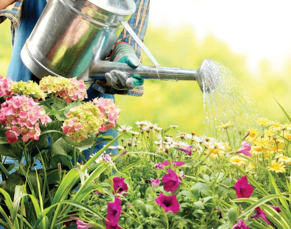  golden square Others