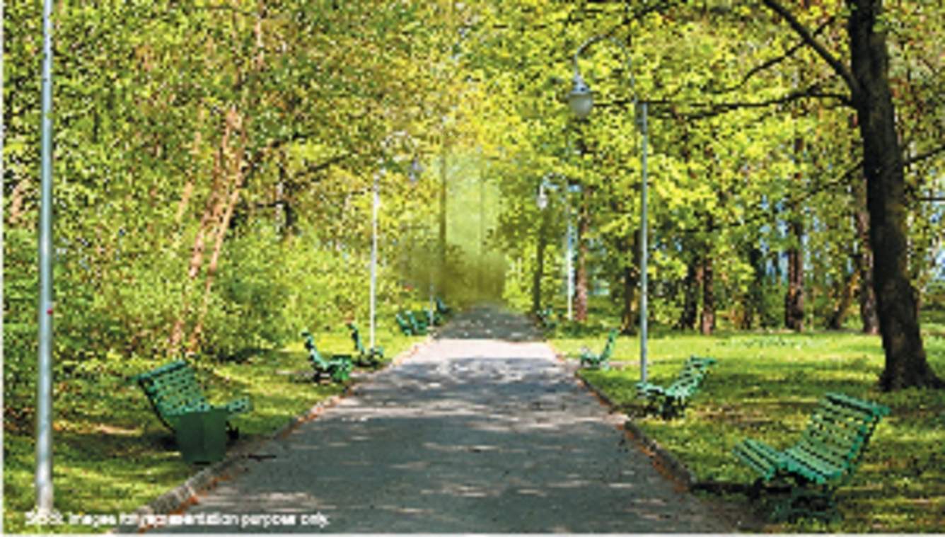  wood park Senior Citizen Siteout