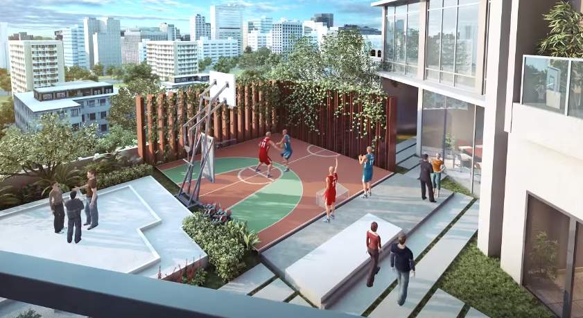 triumph Basketball Court