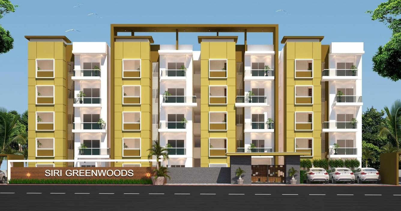  green woods Elevation