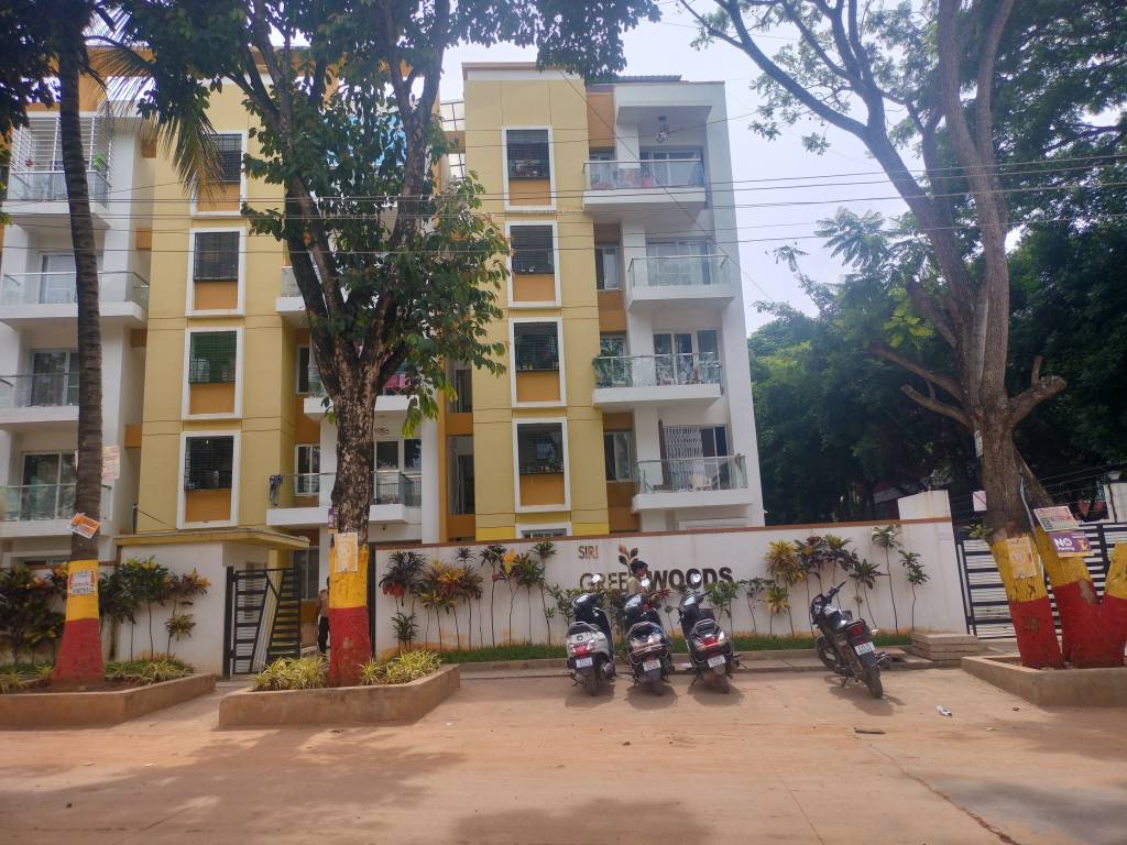  green woods Elevation