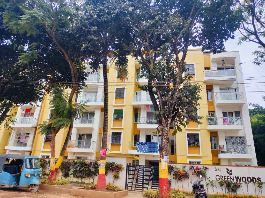  green woods Elevation