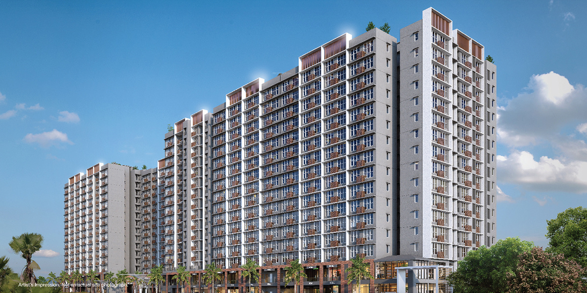 Elevation urban park Elevation