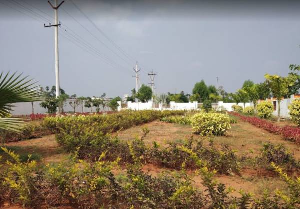  emerald Landscaped Gardens