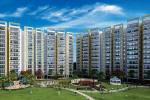 Elevation  avenue-81 Elevation