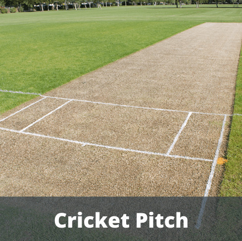  avenue-81 Cricket Pitch