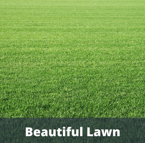  avenue-81 Landscaped Gardens