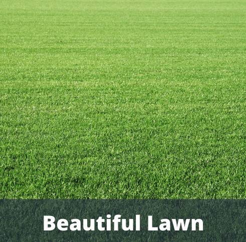  avenue 81 Landscaped Gardens