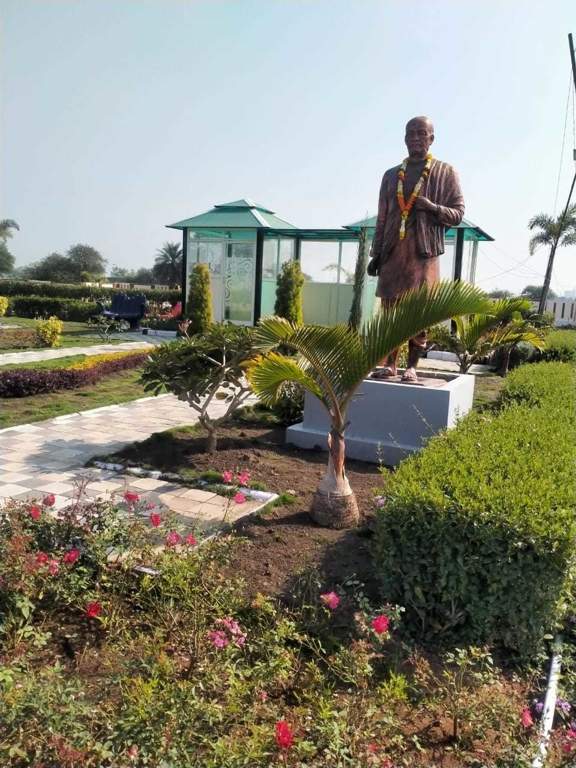 victoria city Landscape Garden and Tree Planting