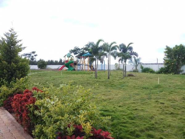  oasis Landscaped Gardens