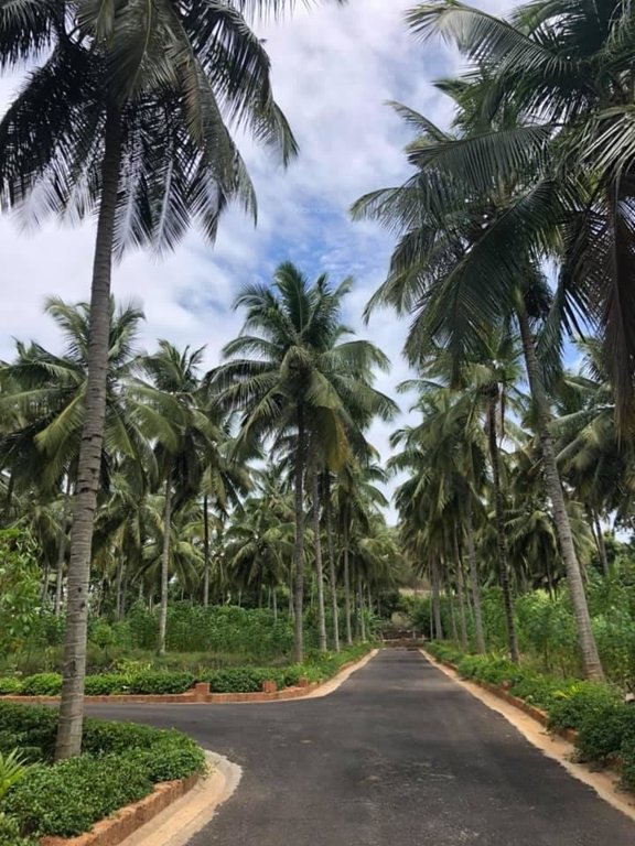 maayya Internal Roads