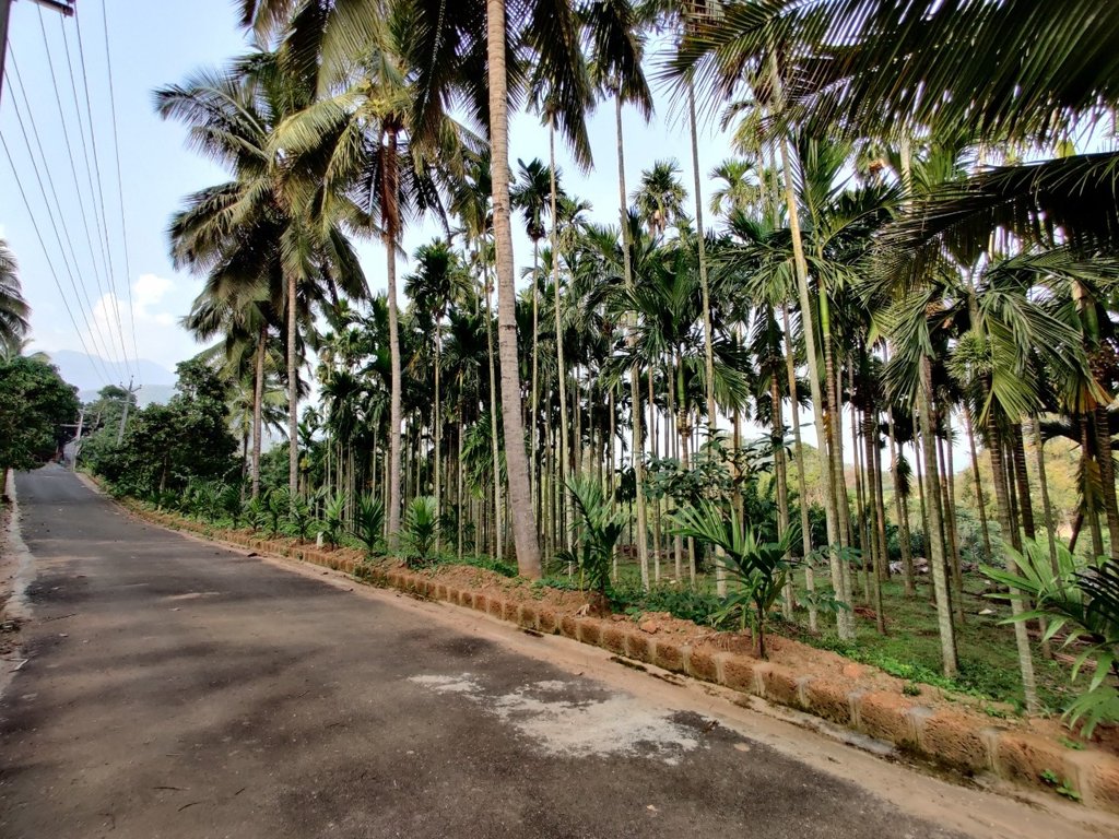 maayya Landscaped Gardens