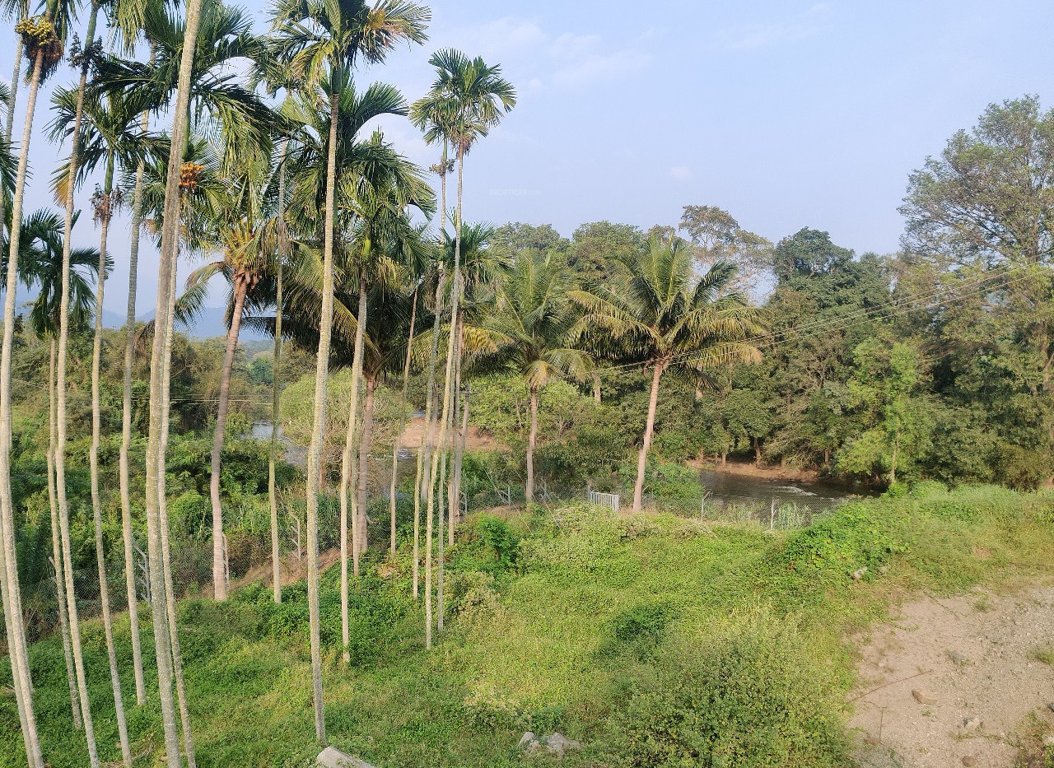 maayya Landscaping & Tree Planting