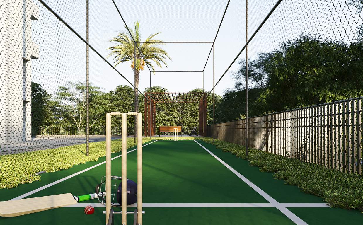  towers Cricket Pitch