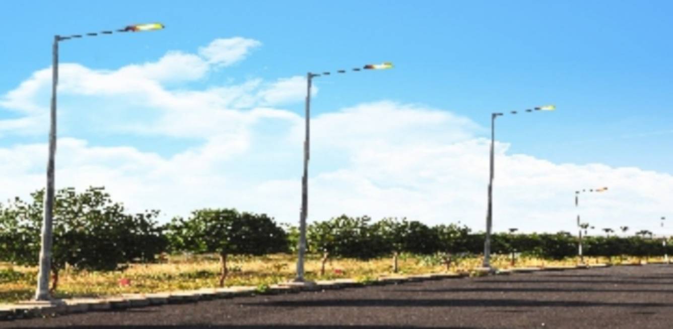  true gold balanagar Others