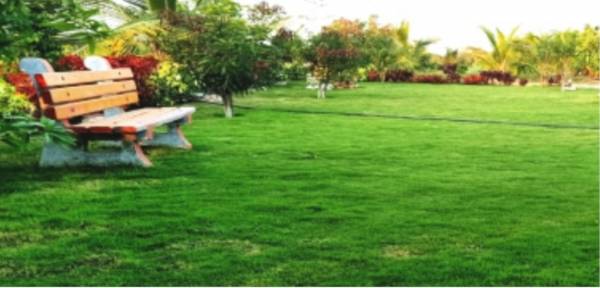  true-gold-balanagar Others