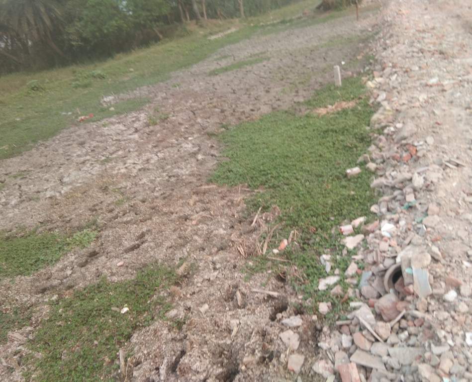  ruposi enterprise Plot