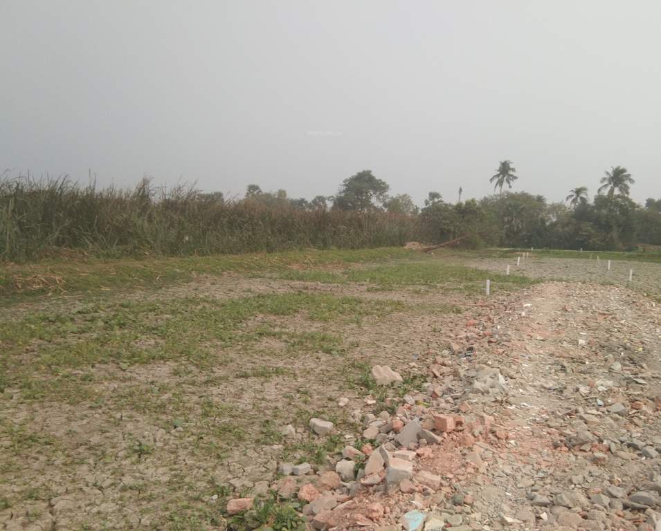  ruposi enterprise Plot