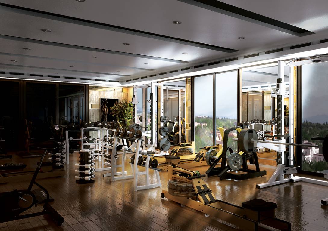 Haware Intelligentia Sigma