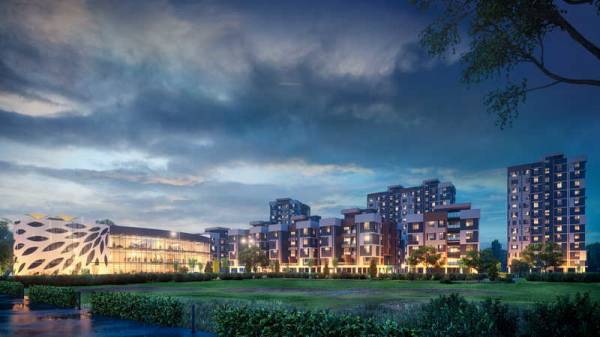 Elevation global-city Elevation