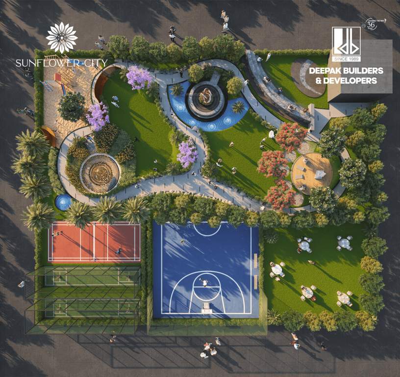  sunflower city Others