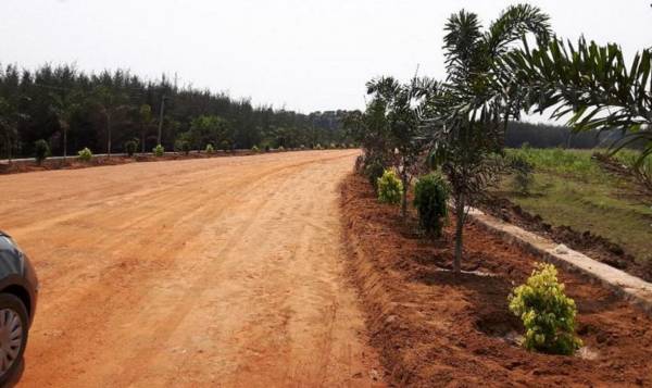  iswarya-gardenns-phase-i Elevation