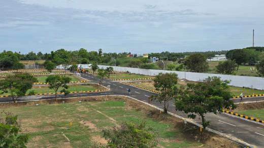 docla Elevation Elevation