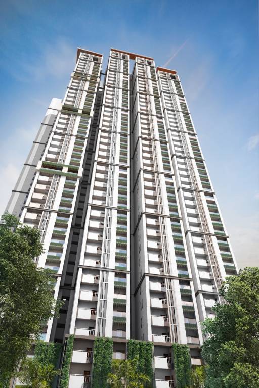  the olympus Elevation