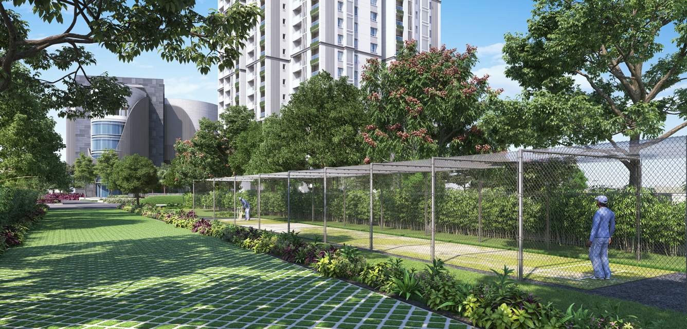  the olympus Sports Area