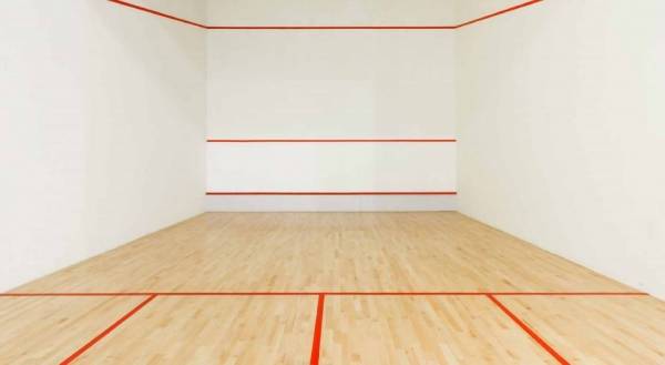 amenities of Shapoorji Vanaha