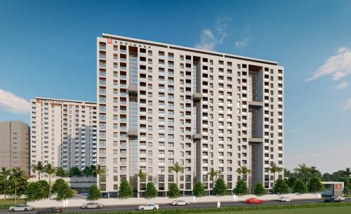  presidentia Elevation