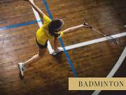  virasat Basketball Court