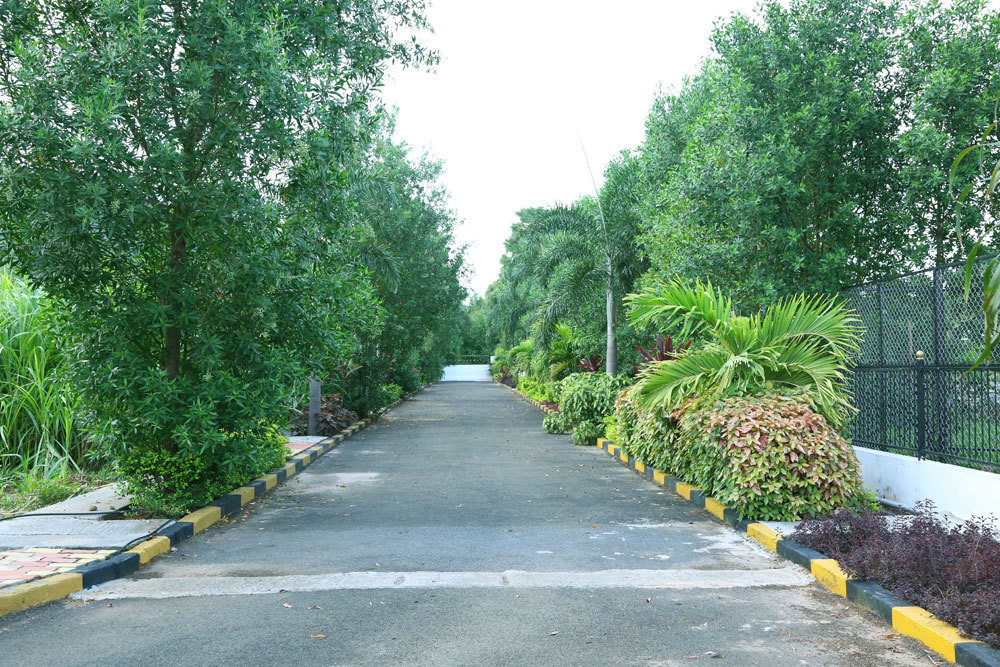  sree gardens Others