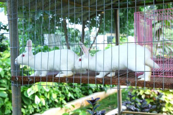 Others sree-gardens Others