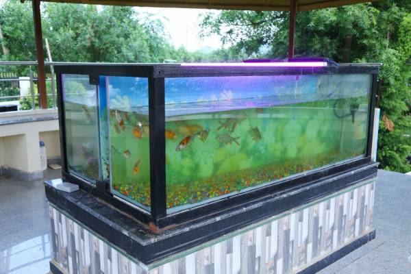 Others sree-gardens Others