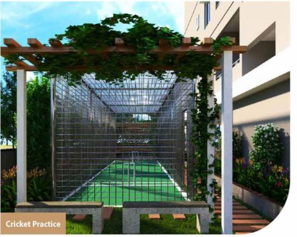  jmc-arka Cricket Pitch