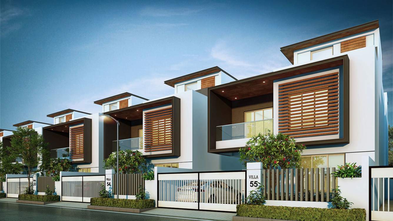  the address Elevation