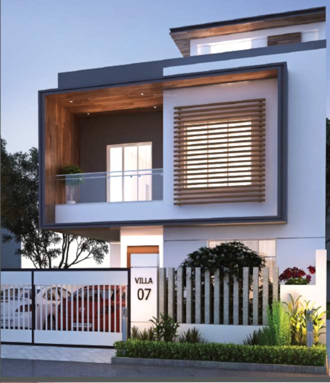  the address Elevation