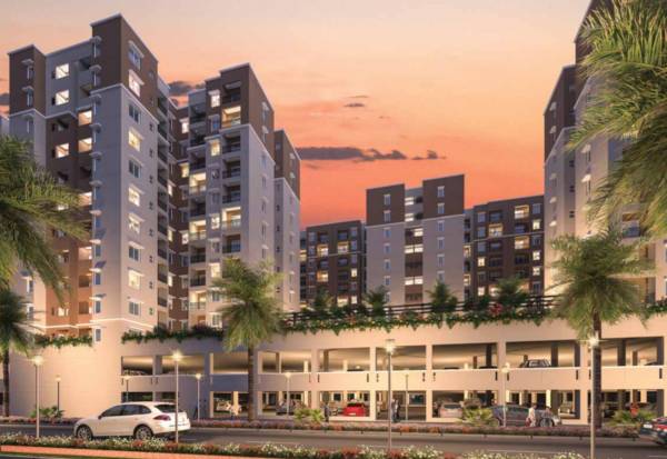 Elevation capella Elevation