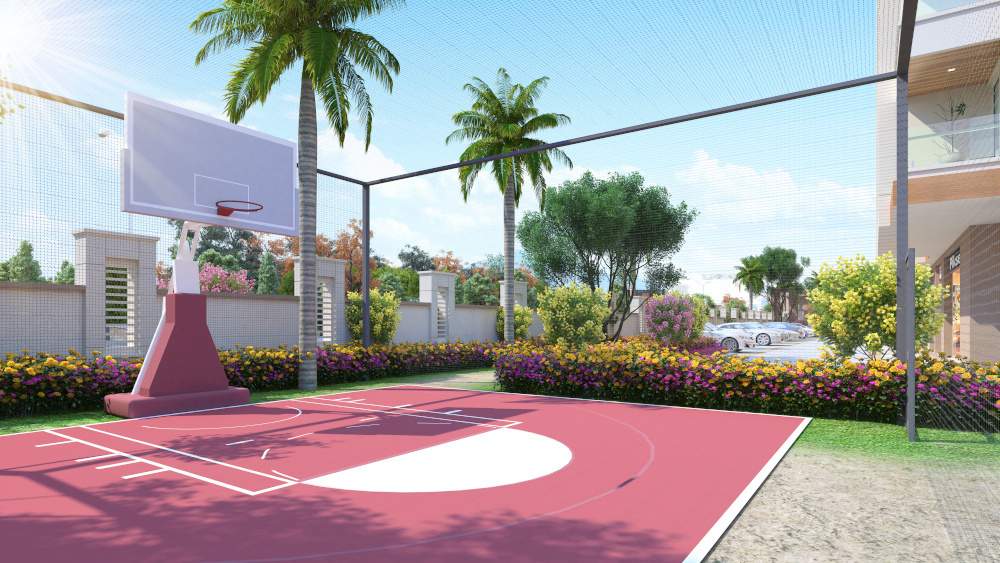  kings court Basketball Court